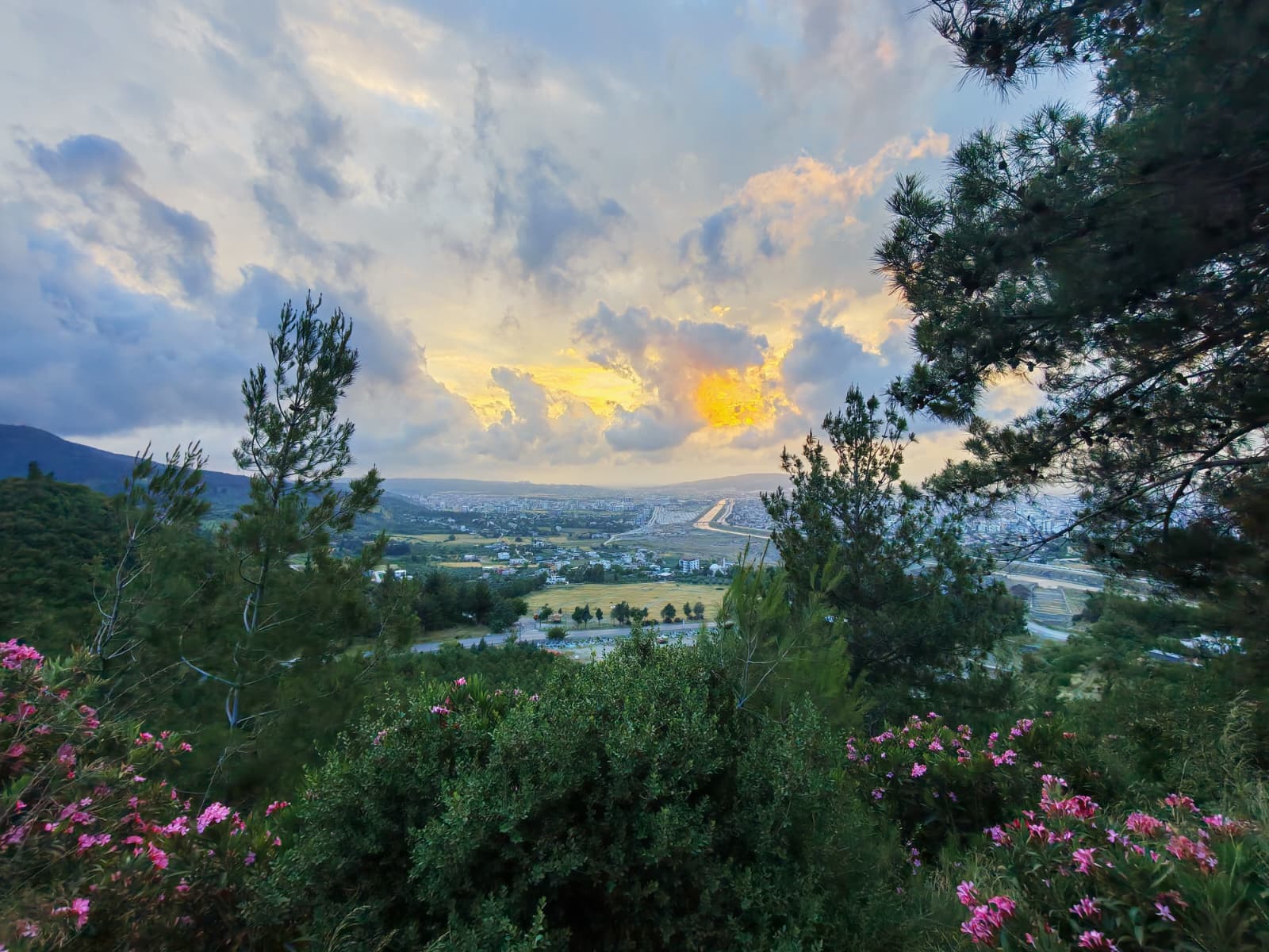 Osmaniye Galeri Fotoğrafı 2