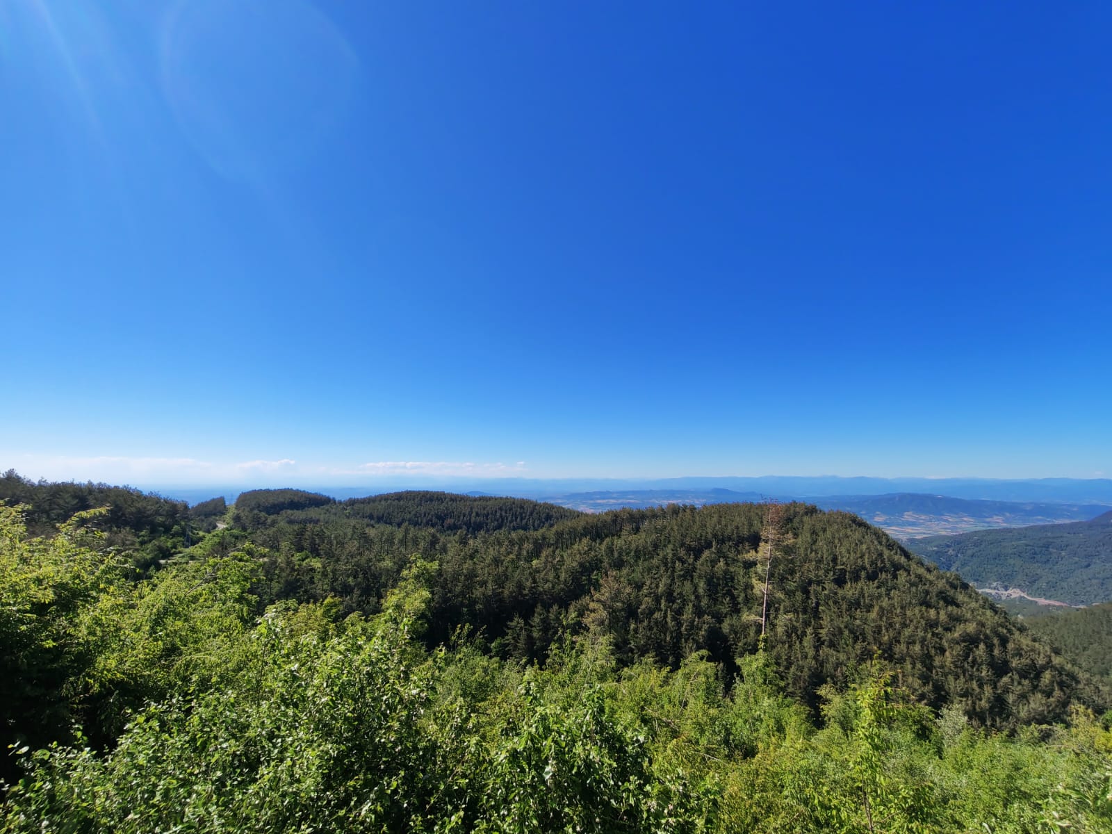 Osmaniye Galeri Fotoğrafı 4