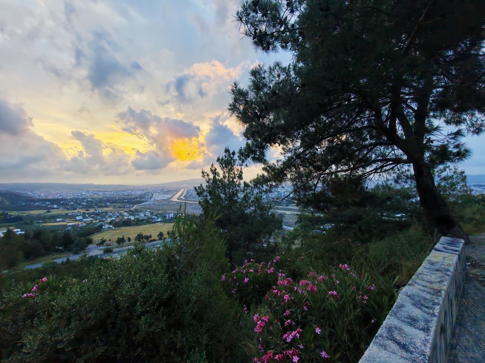 Osmaniye Galeri Fotoğrafı 6