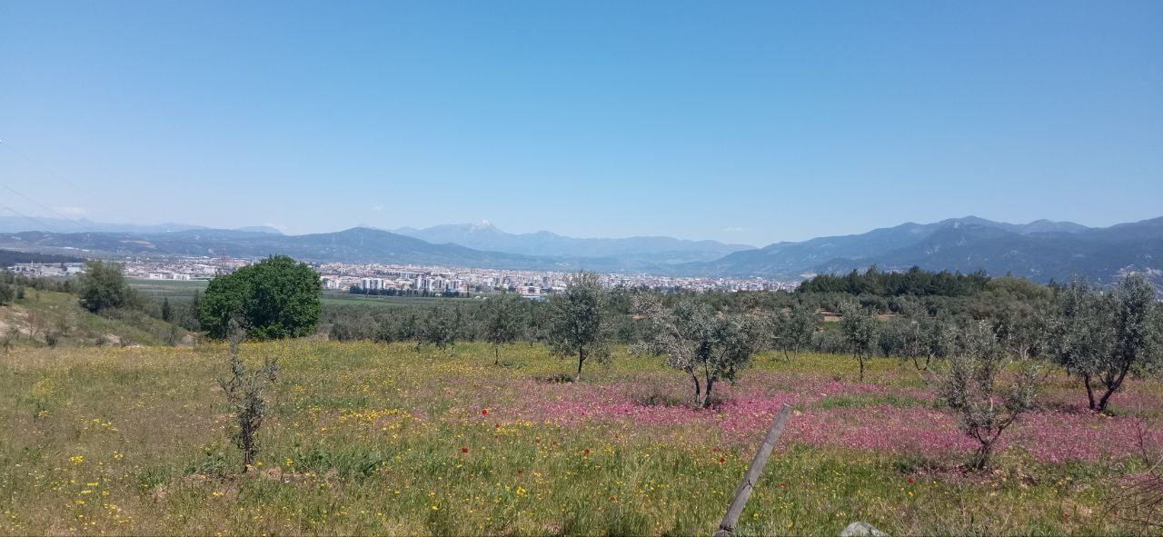 Osmaniye Doğa Örtüsü